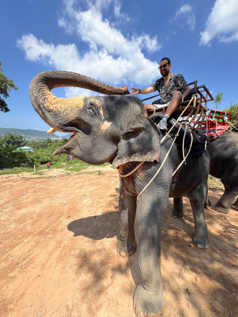 Tayland’ın güneyinde yer alan Phuket, bembeyaz kumsalları, turkuaz denizi ve tropik doğasıyla gerçek bir cennet köşesi. Masmavi sularda yüzüp, palmiyelerin gölgesinde dinlenirken zamanın nasıl geçtiğini anlamak mümkün değil. Renkli gece hayatı, eşsiz Tay mutfağı ve güler yüzlü insanlarıyla Phuket, hem dinlenmek hem de yeni kültürler keşfetmek isteyenler için ideal bir rota. Gün batımında sahilde yürümek, egzotik adaları tekneyle keşfetmek ve huzurun tadını çıkarmak burada mümkün. Phuket, her anıyla unutulmaz bir tatil vadediyor.