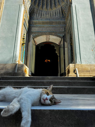 Bursa günübirlik gezi rotası arayanlar için hazırlanmış bu özel plan, sabah Cumalıkızık kahvaltısıyla başlıyor. Osmanlı mirası sokaklardan Emir Sultan Camii ve Yeşil Türbe’ye uzanan bu rota, şehrin manevi dokusunu hissettiriyor. Irgandı Köprüsü üzerinde el işi dükkânlarını gezip, Koza Han’da tarihi bir avluda kahve molası verebilirsiniz. Bursa pideli köfte ile lezzet turuna çıkarken Meşhur Geye’de dondurmalı kazandibi tatmayı unutmayın. Ulu Camii ve Tophane’den şehrin manzarasını izleyip, gün batımında İnkaya Tarihi Çınar’a uğrayabilirsiniz. Tarih, kültür, doğa ve lezzeti bir arada sunan bu rota, Bursa’yı keşfetmenin en keyifli yolu
