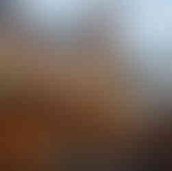 Kölner Dom Weihnachtsmarkt