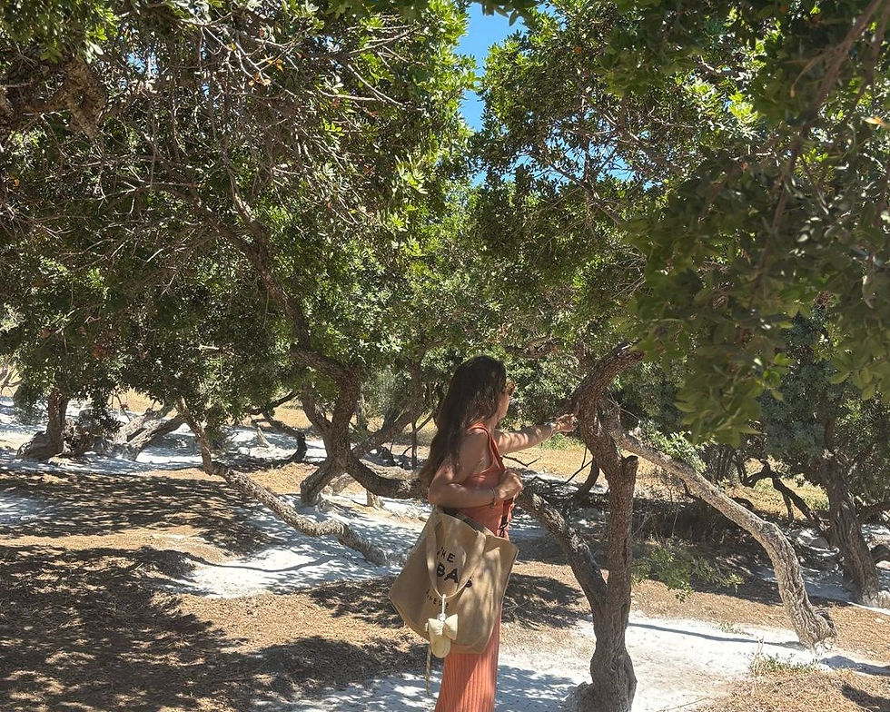 Sakız Adası'nda taş evler, dar sokaklar ve Ege Denizi manzarası eşliğinde üç günlük gezi rehberi.