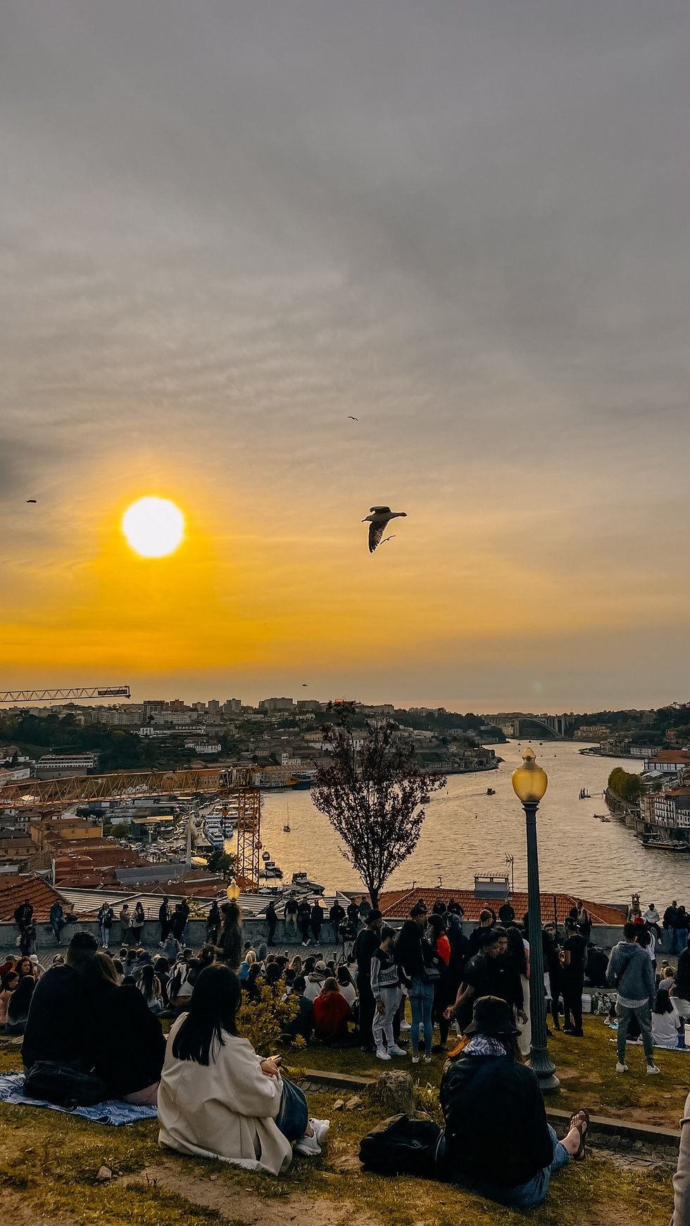 Porto Jardim do Morro