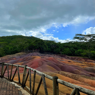 Mauritius, doğal yaşam alanlarında egzotik hayvanlarla karşılaşabileceğiniz nadir adalardan biridir. Casela Nature Park’ta zürafalar, dev kaplumbağalar ve timsahlarla yakın temas kurulabilir. La Vanille Nature Park ise özellikle dev kaplumbağalarıyla meşhurdur. Balayı tatilinize farklı bir deneyim katmak için bu parklar oldukça eğlencelidir. Aynı zamanda doğa koruma bilincine de katkı sağlar. Mauritius'ta sadece dinlenmek değil, keşfetmek de tatilin bir parçasıdır.