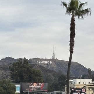 Hollywood gezi rehberi, sinema tutkunlarının rüya destinasyonunu keşfetmesi için mükemmel bir başlangıçtır. “Hollywood Sign’a nasıl gidilir”, “Hollywood Bulvarı turu” ve “Walk of Fame ünlü yıldızlar” gibi popüler arama terimlerini kullanın. Sunset Boulevard, Hollywood & Highland Center ve Capitol Records Binası gibi simge yerleri tanıtın. “Hollywood en iyi fotoğraf noktaları” ve “Hollywood gece hayatı” gibi niş kelimelerle içeriği güçlendirin. Tur fiyatları, ulaşım ipuçları ve açık/kapalı mekan önerilerini detaylandırın. Böylece hem ilk defa gelen hem de tekrar gelen turistler için eksiksiz bir rehber oluşturabilirsiniz.