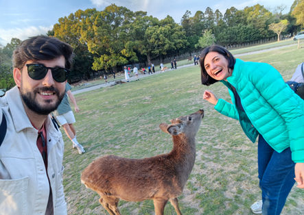 Nara Park Japonya Gezi Rehberi Lezzetler ve Tüm Detaylar