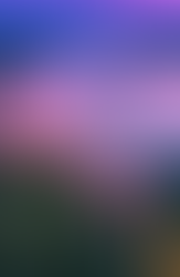 Carl Ribaudo adds perspective at Tahoe Economic Summit