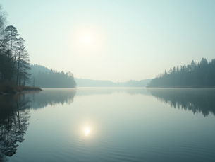 Get Affordable Professional Liability Insurance in Ontario