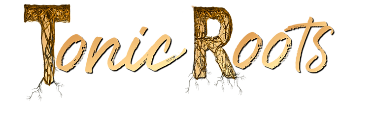 TR LOGO Horizontal 1-22 no bg copy_edit