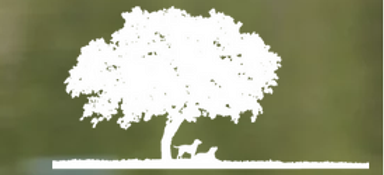 Companion Animal Clinic.png