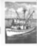 Rockport Shrimping Boom