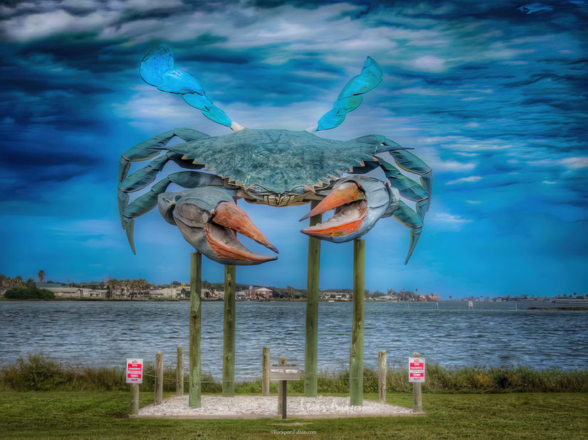 Big Blue Crab.jpeg
