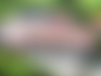 Dauerschütze /-buchung