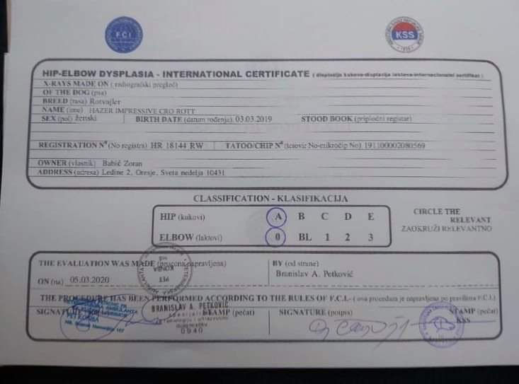 Hip & Elbow Certificate