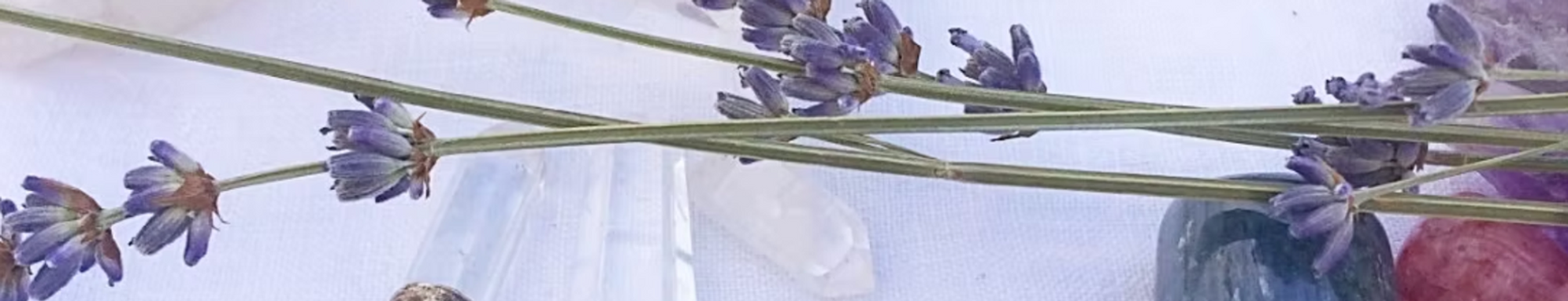 Screenshot 2025-02-10 at 9.43.47 AM.png