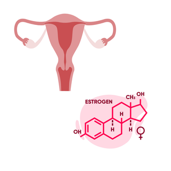 ​​Menopause, Pelvic Health, and the Hypermobility + Dysautonomia Connection