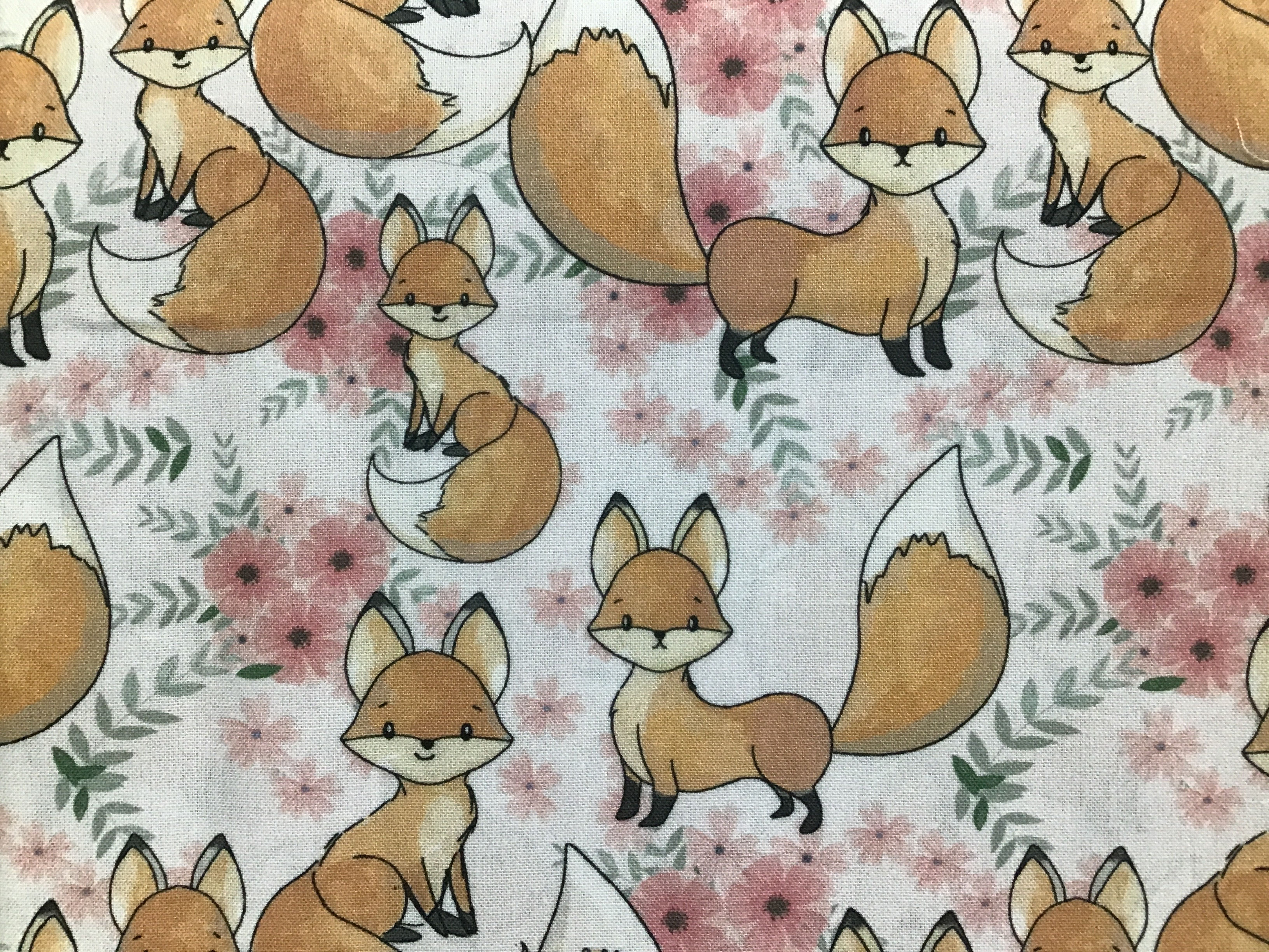 Little Johnny Cute Baby Fox Cotton on White