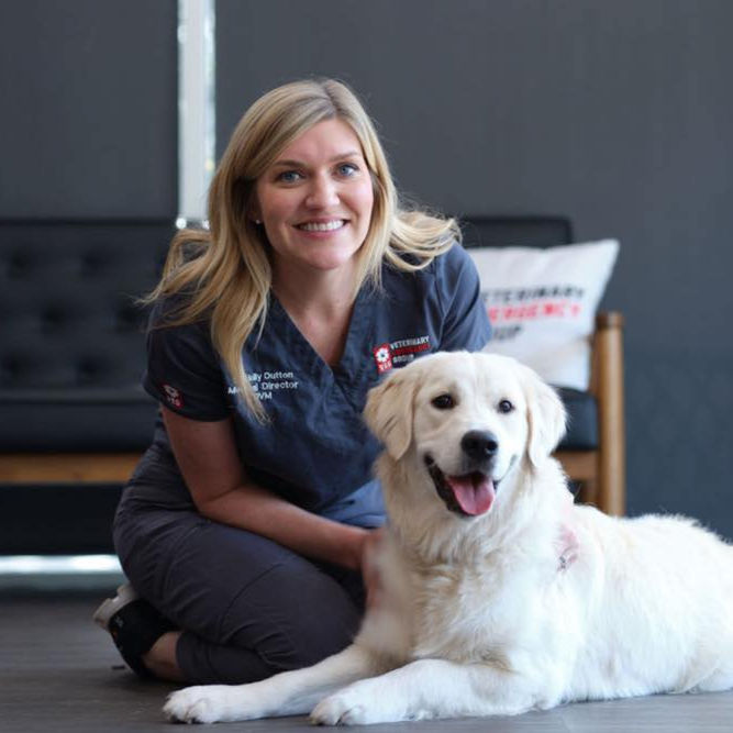 Veterinary Emergency Group
