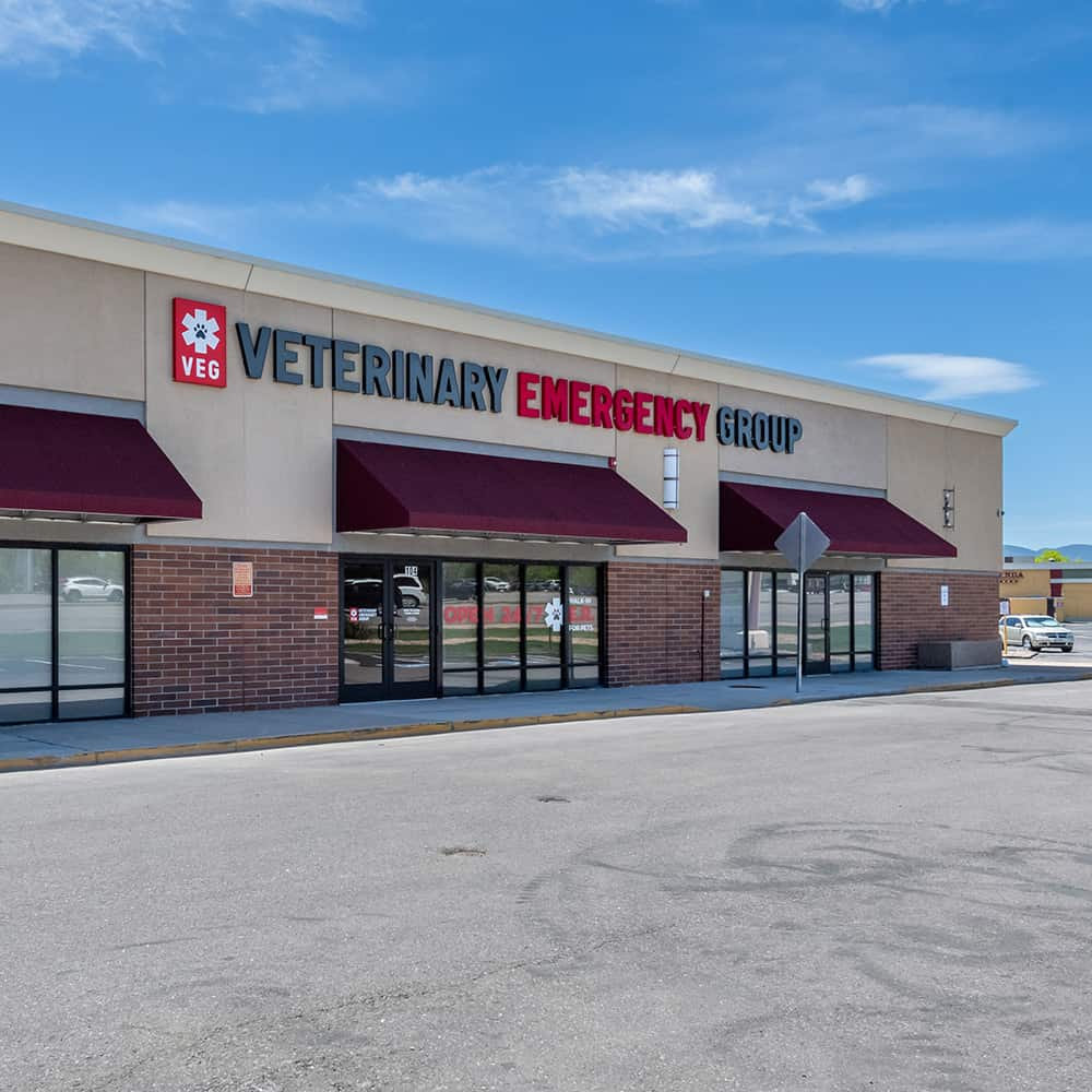 Logo 24 Hr Vet 24 Hour Clinic Vet New Arrivals