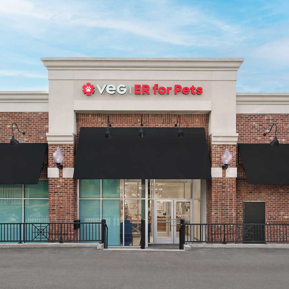 Exterior pic of VEG ER for Pets in Charlotte, NC.