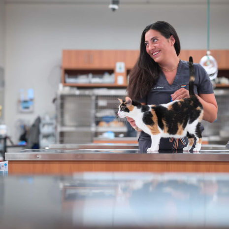 10 Common Pet Emergencies in San Antonio, TX