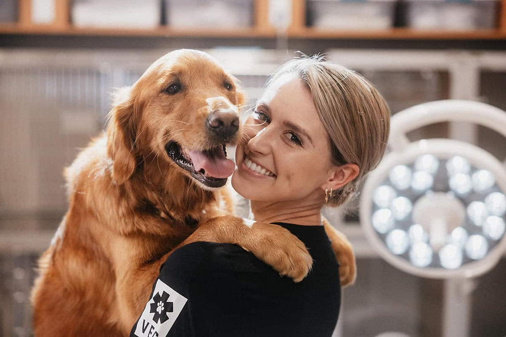 Stressful Situations Triggering Excessive Grass Eating In Dogs