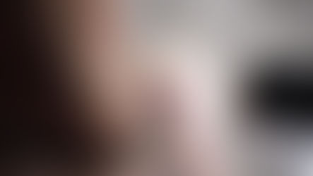 A fluffy white cat is examined by a veg in a hospital