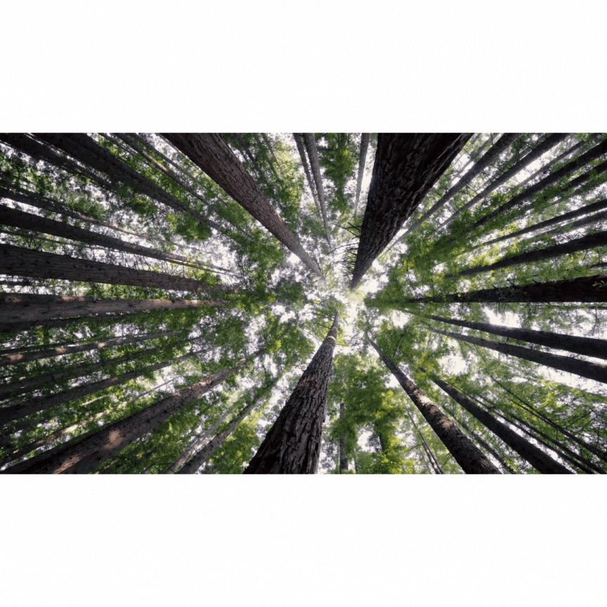 hosting (6).gif