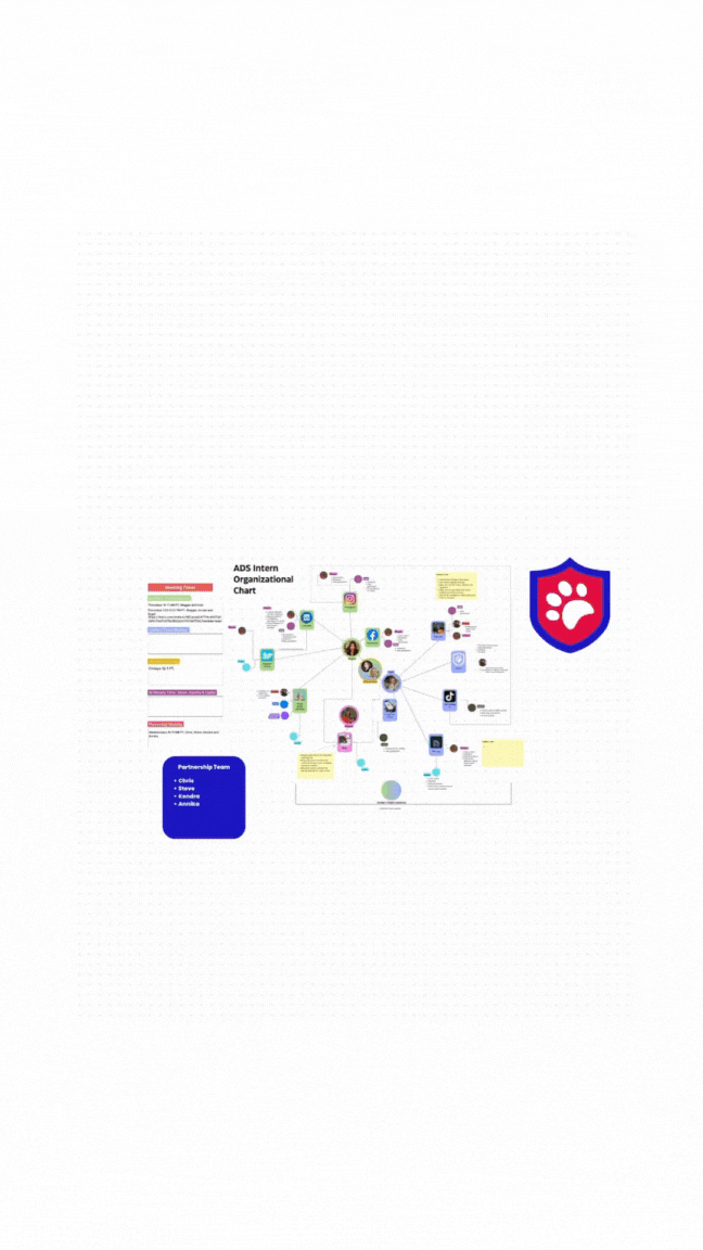 org chart vid .gif