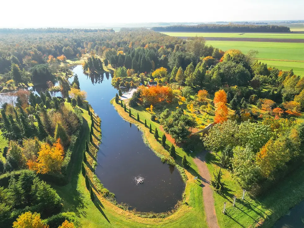 Het Arboretum _De Hangende Tuinen_