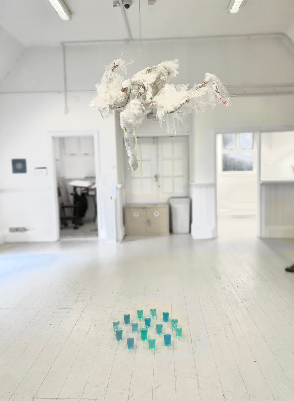 Plastic Dive (2022)