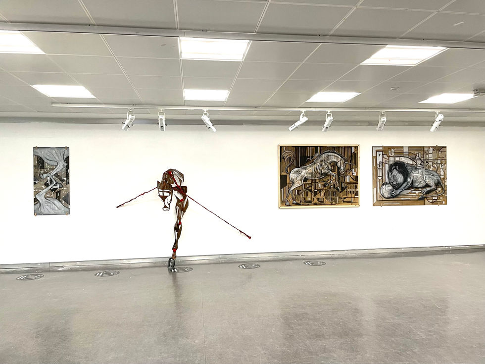 Installation shot, Shahsawar, 2022