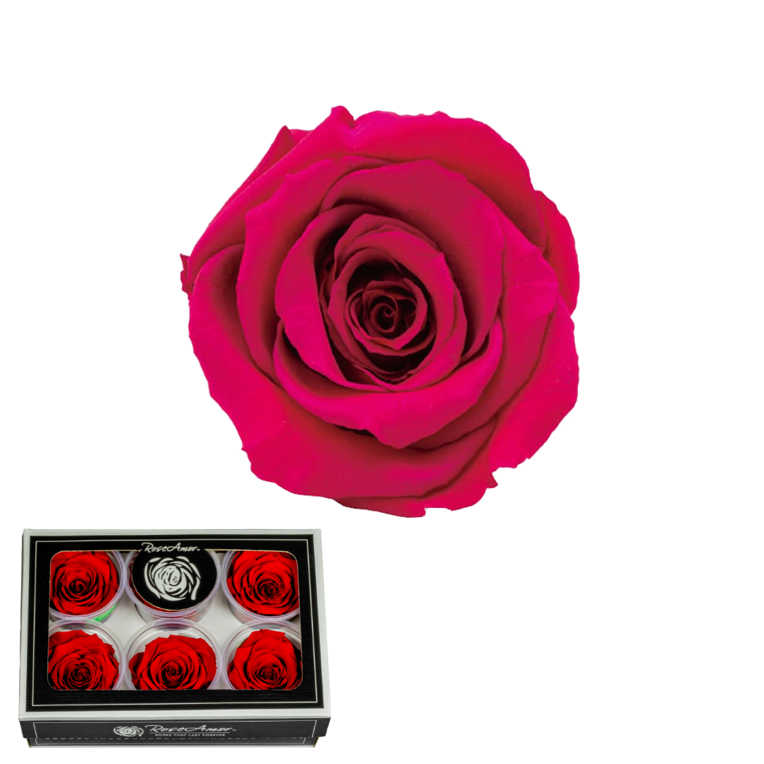 XL ROSADO 03