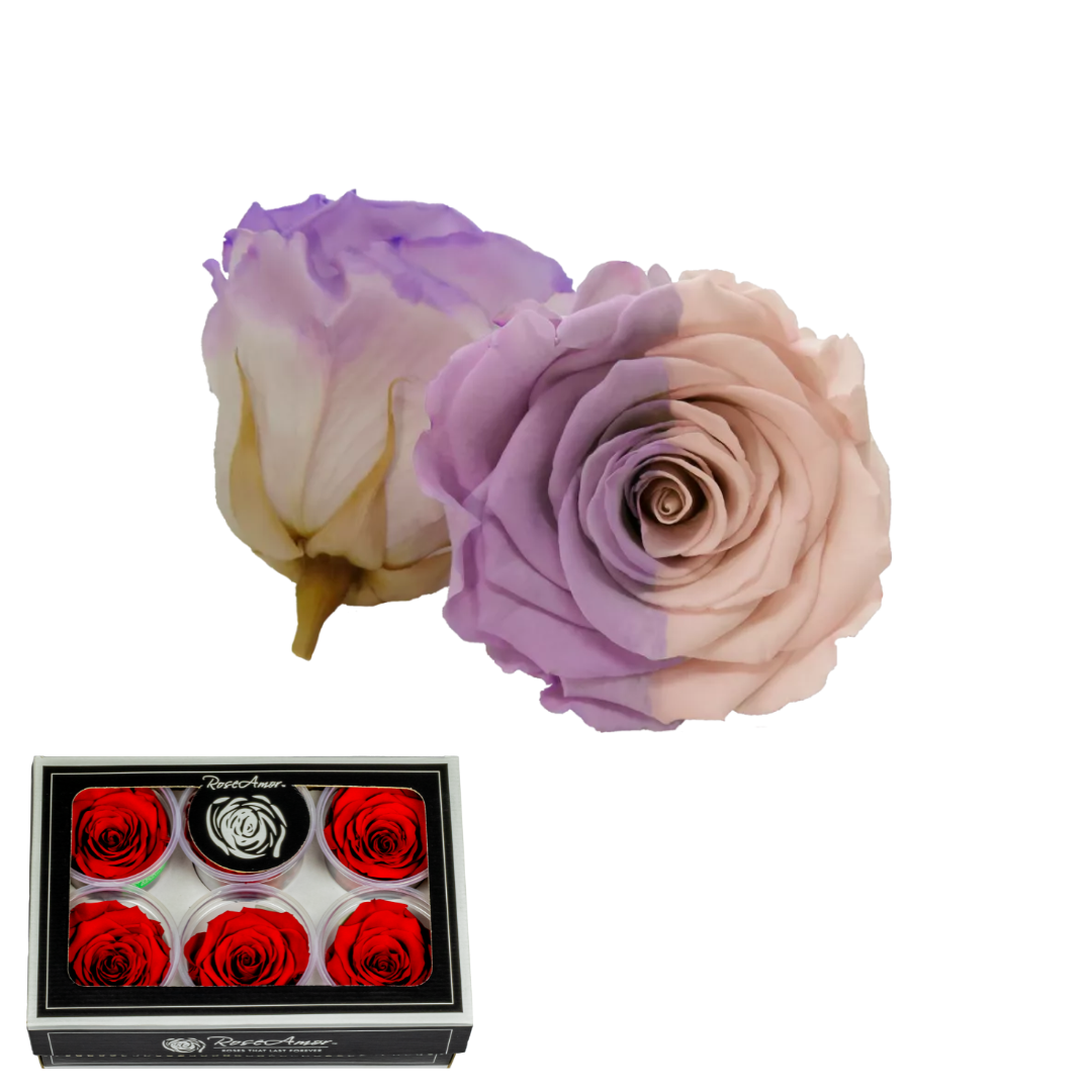 XL VIOLETA Y ROSADO 27