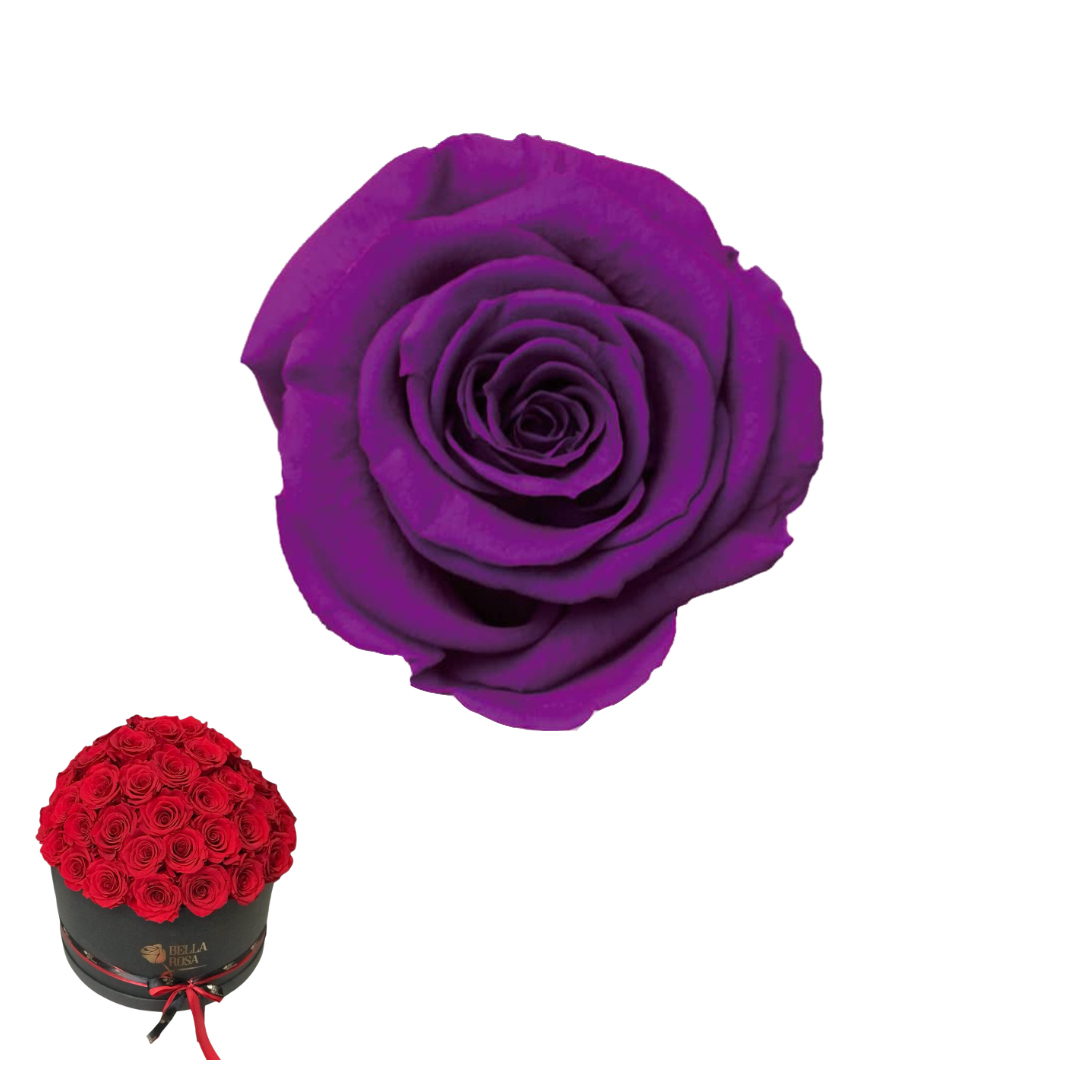 ARREGLO 50 ROSAS PÚRPURA 02