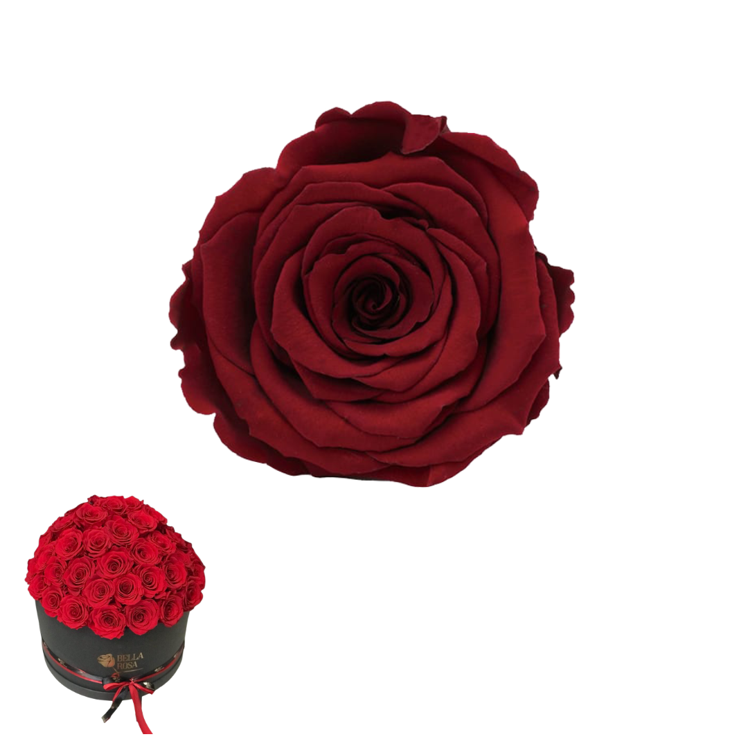 ARREGLO 50 ROSAS ROJO 01