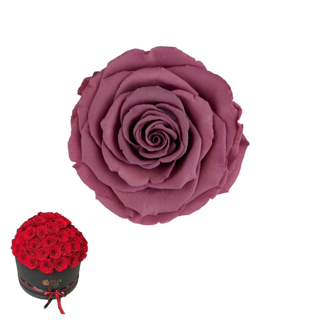 ARREGLO 50 ROSAS VIOLETA 02