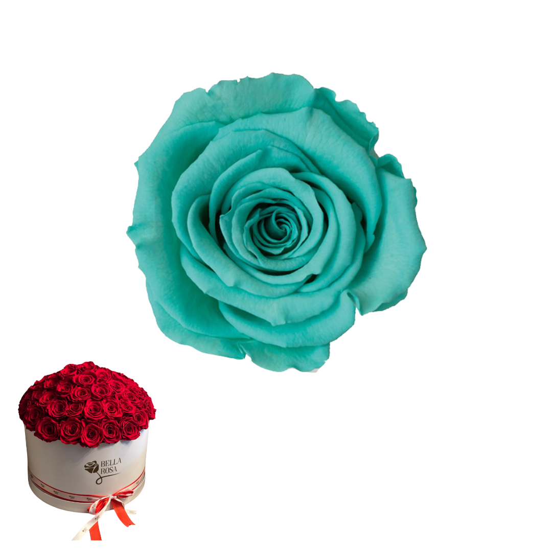 ARREGLO 50 ROSAS AZUL 02