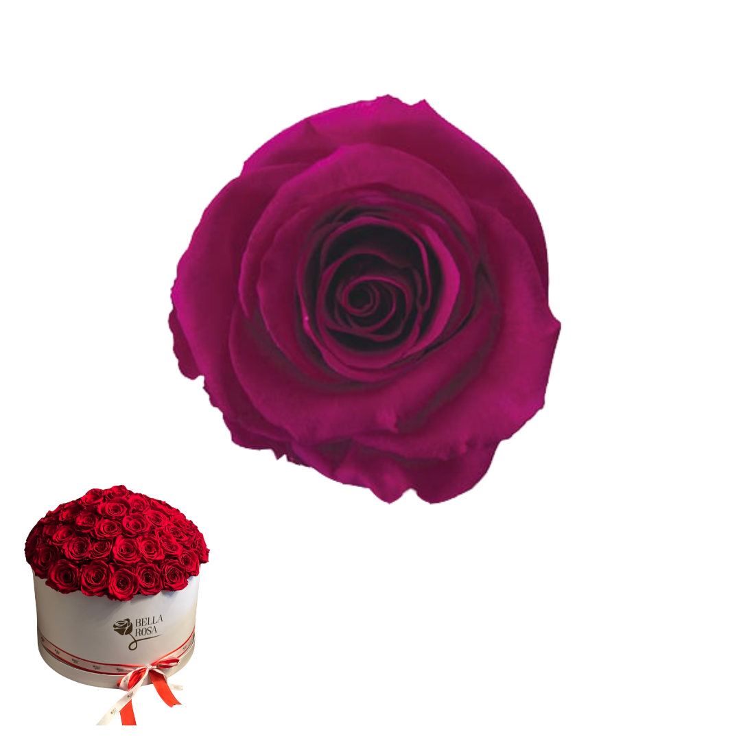 ARREGLO 50 ROSAS ROSADO 05