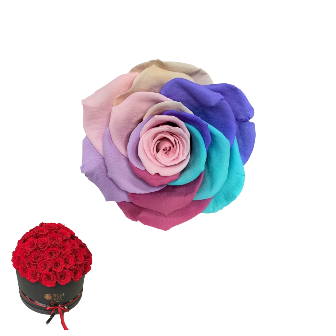 ARREGLO 50 ROSAS CANDY