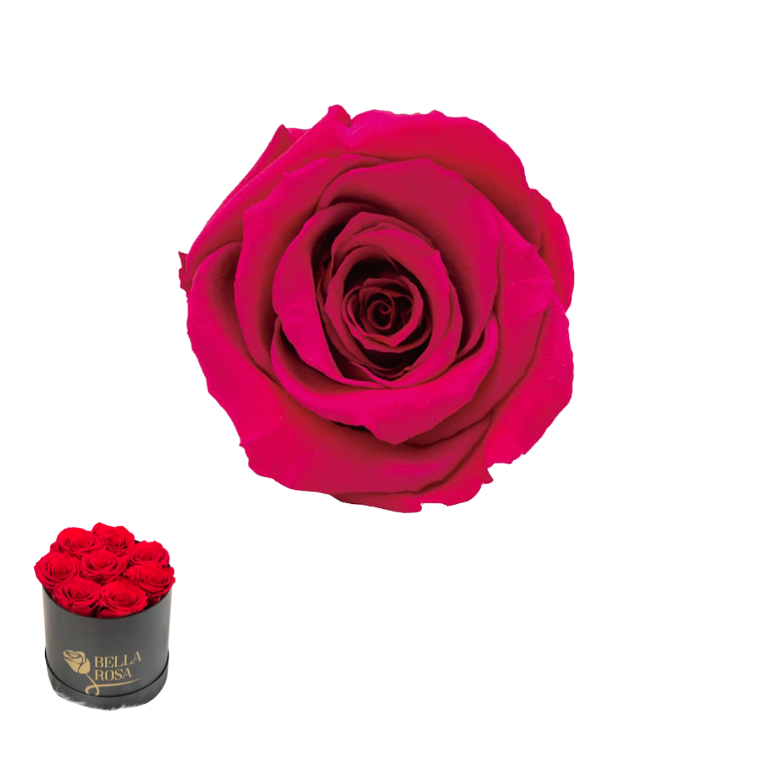 ARREGLO 8 ROSAS ROSADO 03