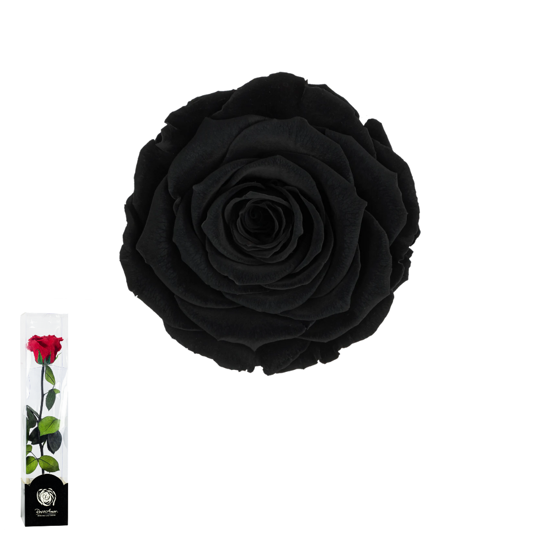 TALLO NEGRO 01