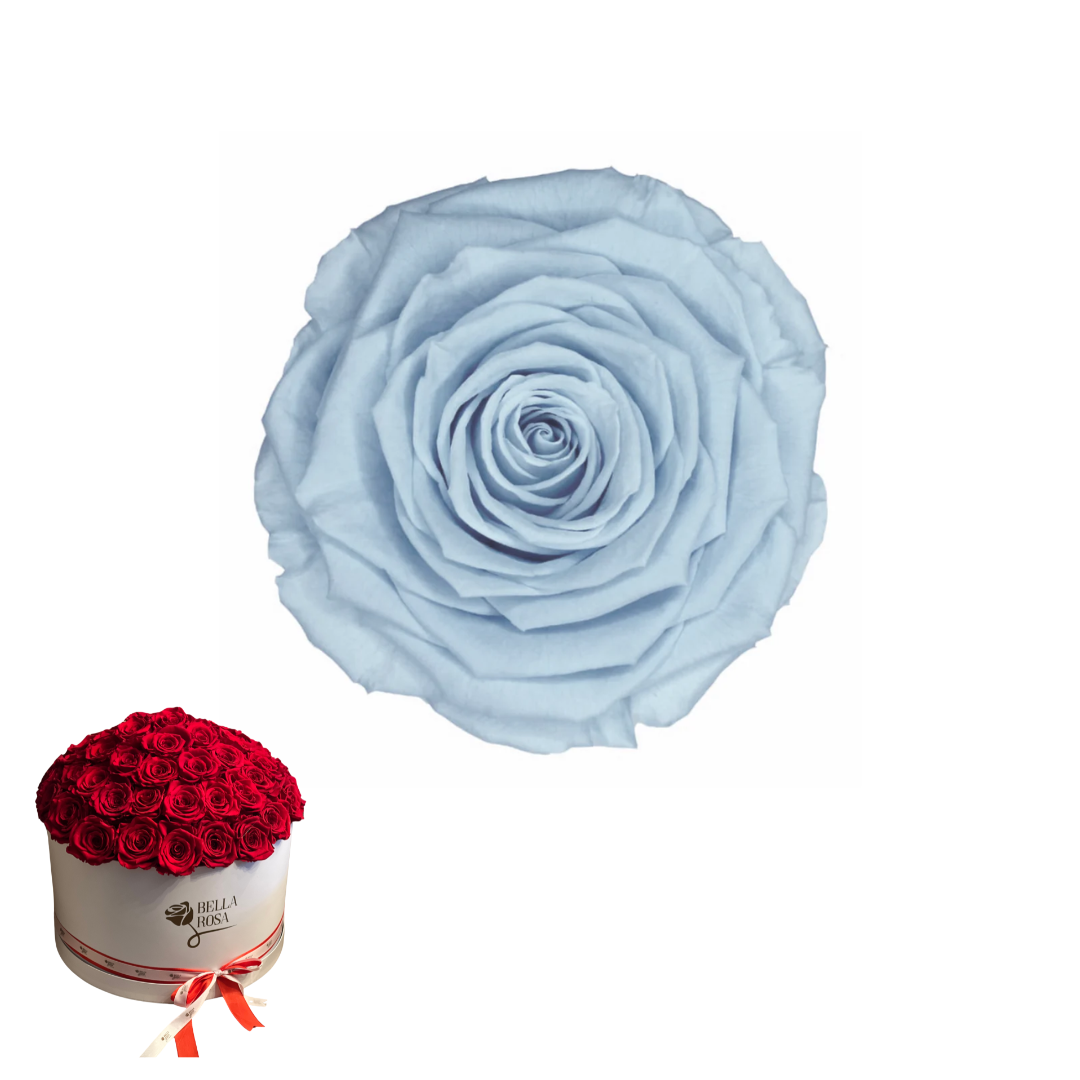 ARREGLO 50 ROSAS AZUL 89
