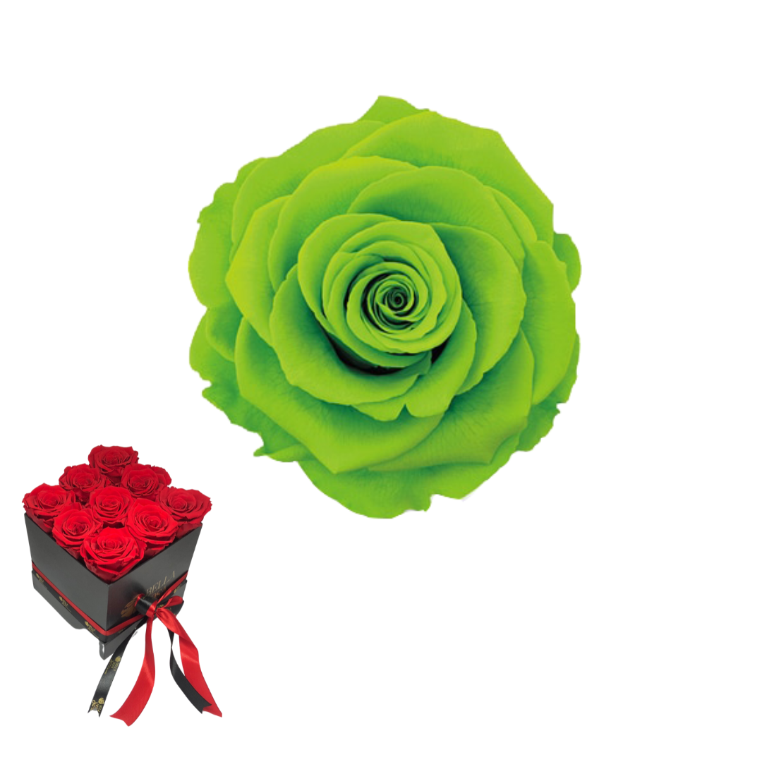 ARREGLO 9 ROSAS VERDE 05