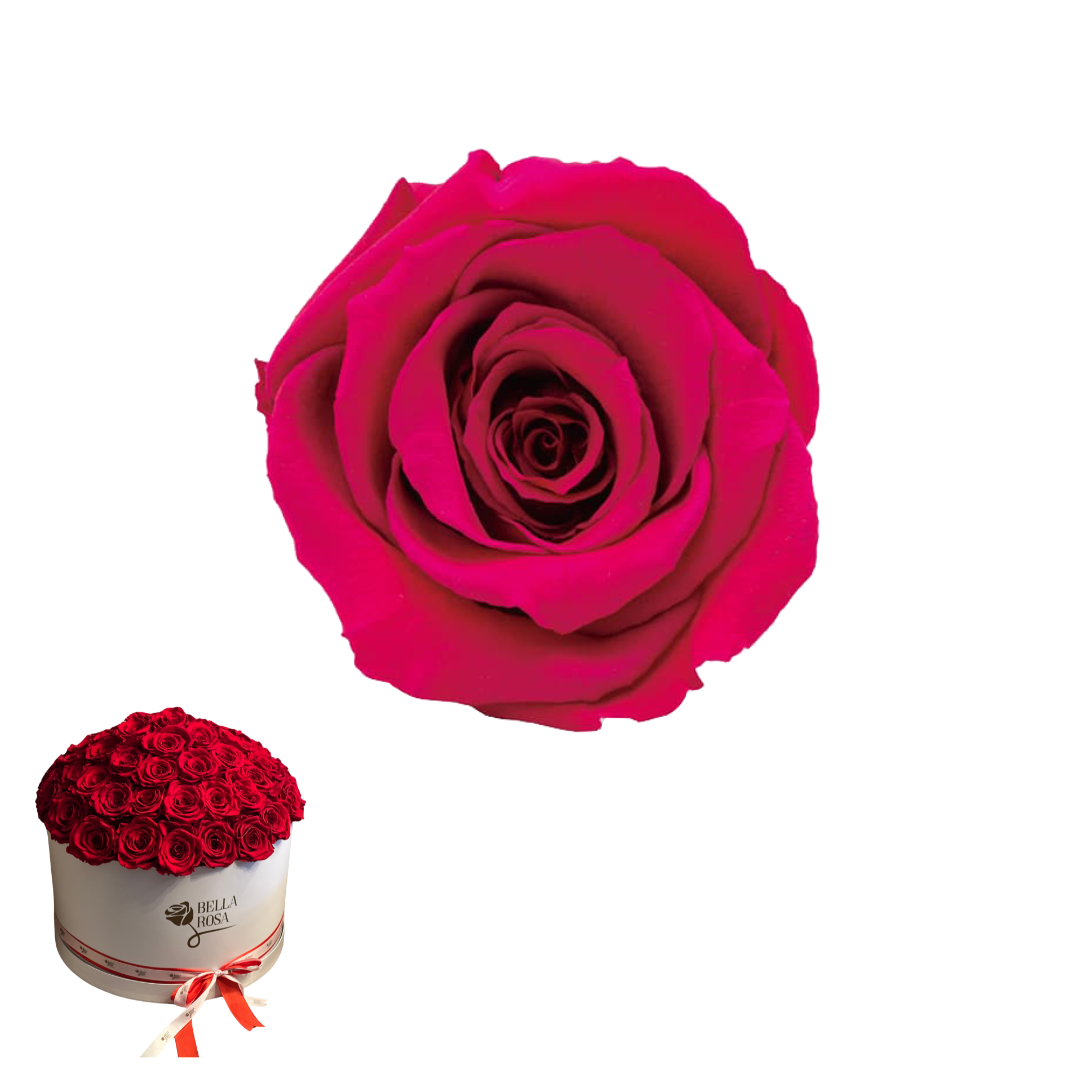 ARREGLO 50 ROSAS ROSADO 03