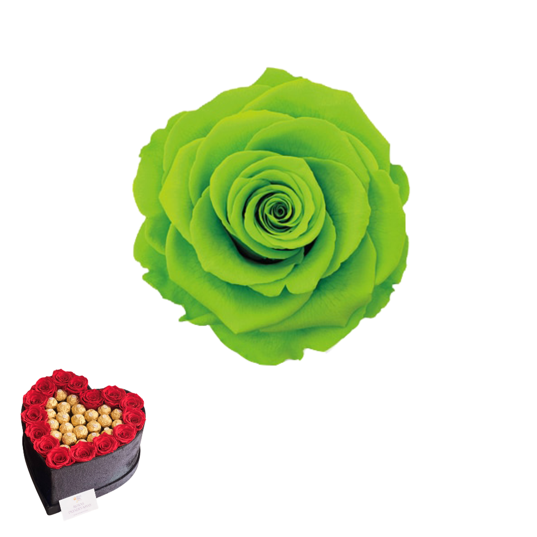 ARREGLO 15 ROSAS VERDE 05