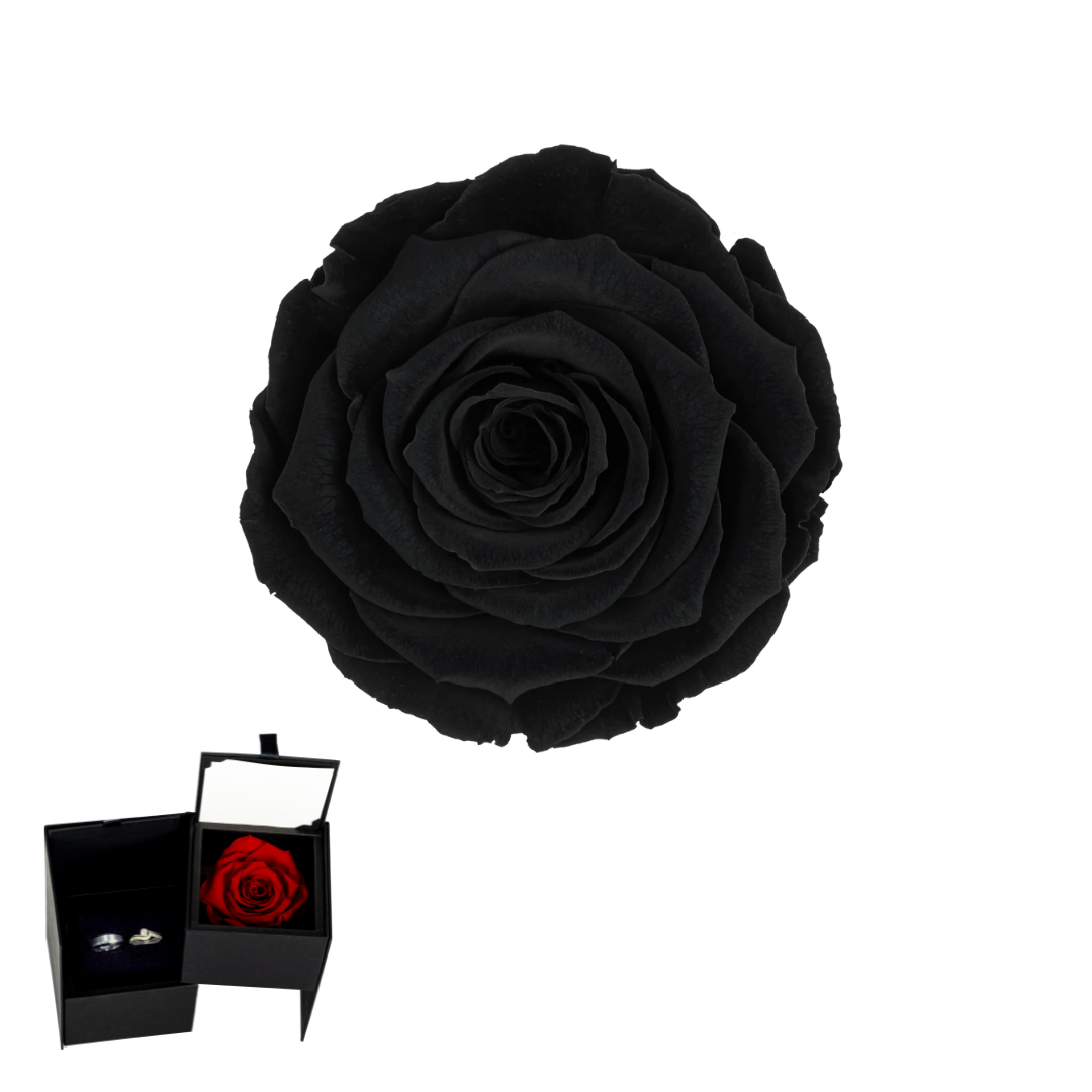 GBR NEGRO 01