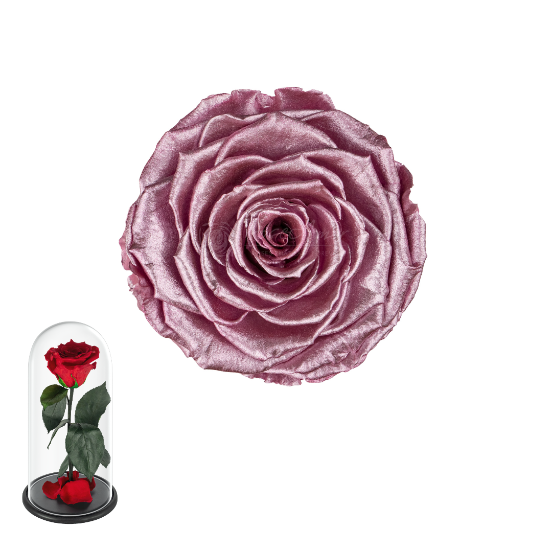 CÚPULA 27 CM ROSADO METÁLICO