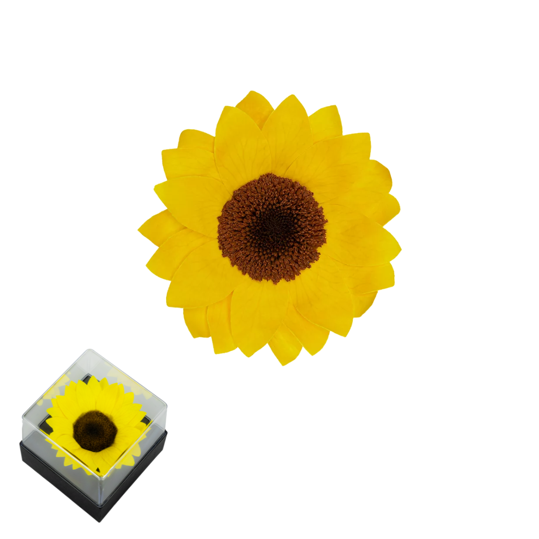 GB3 GIRASOL