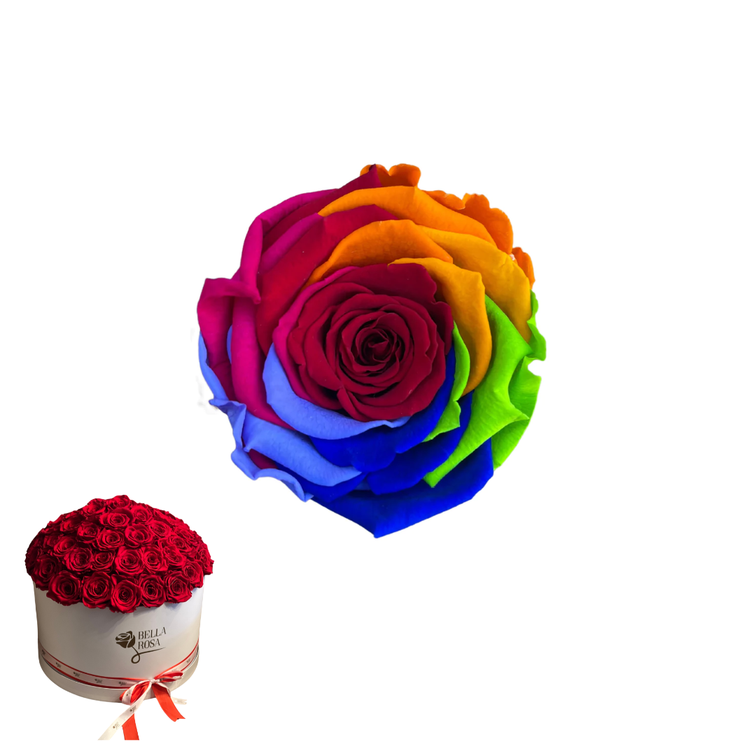 ARREGLO 50 ROSAS ARCOÍRIS