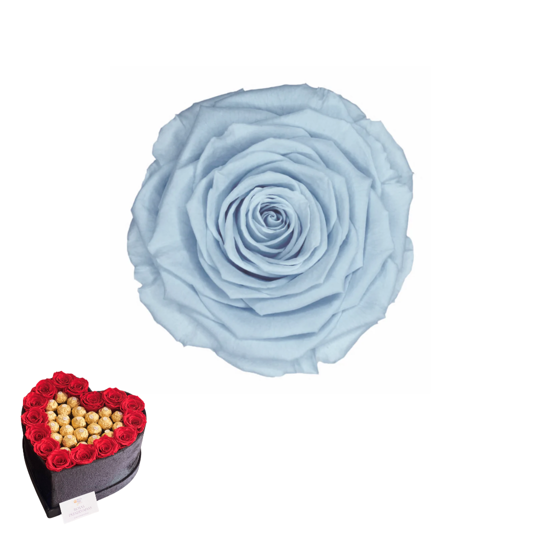 ARREGLO 15 ROSAS AZUL 89