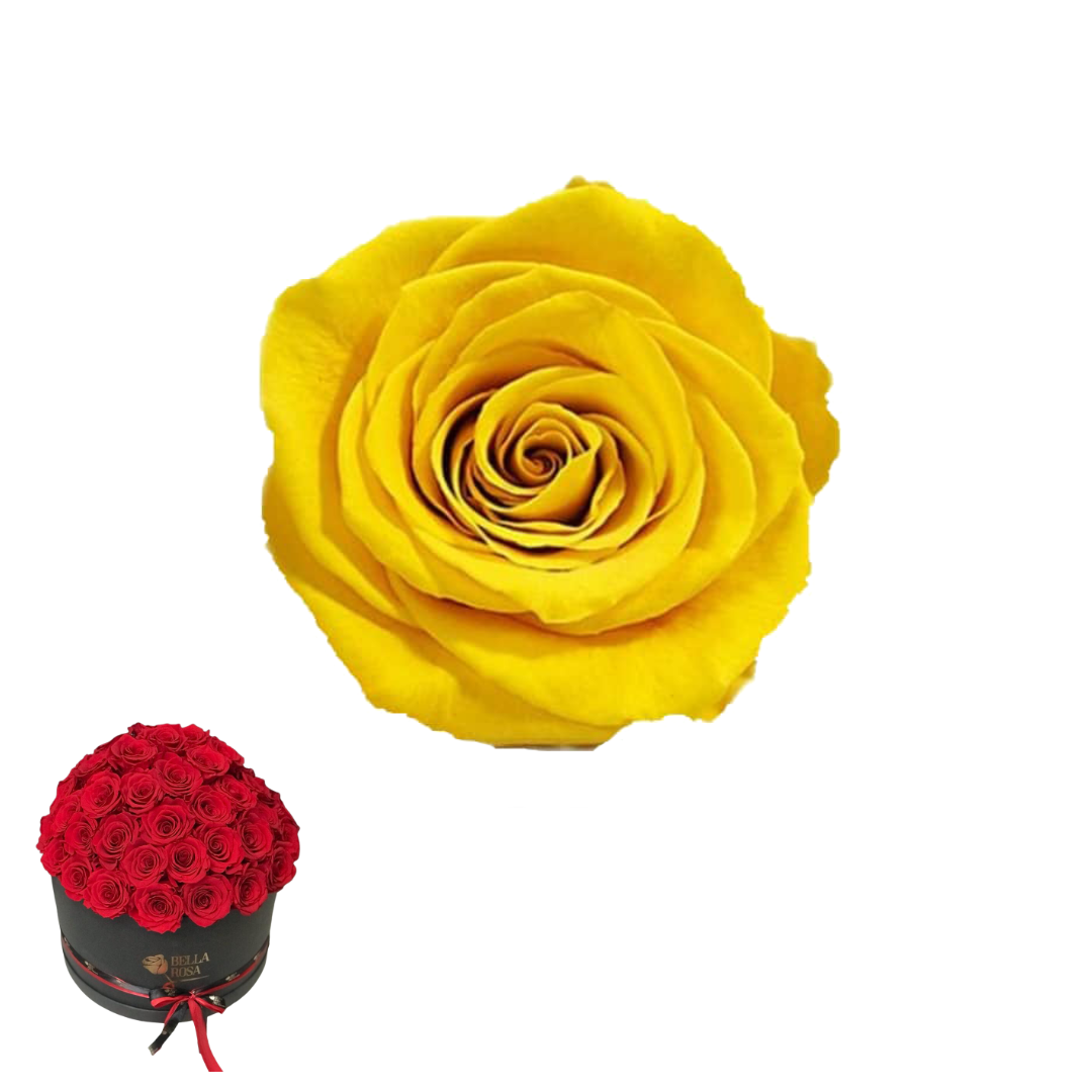 ARREGLO 50 ROSAS AMARILLO 02